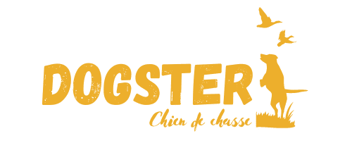 Dogster